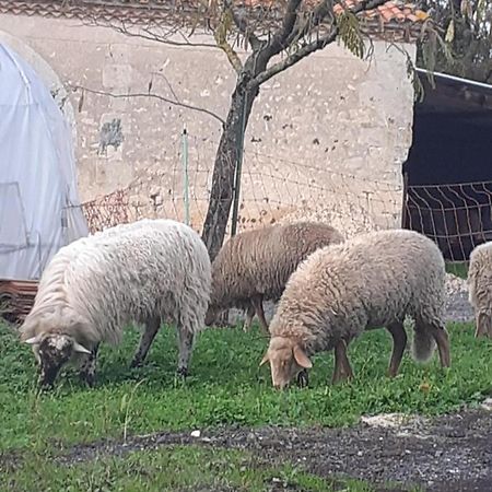 Maison De Campagne A La Ferme Pillac Luaran gambar